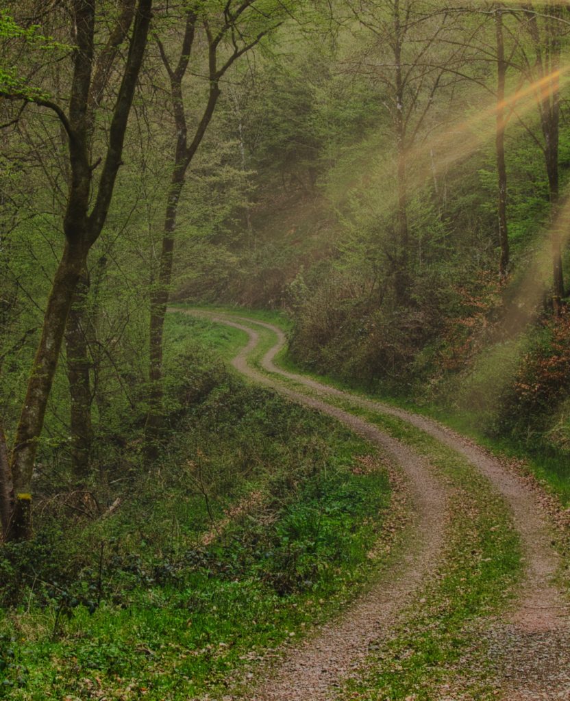 Wandern und E-Bike in Heidenrod: Versteckte Naturpfade im Rheingau-Taunus entdecken 2 Wanderweg kleine wisper in heidenrod