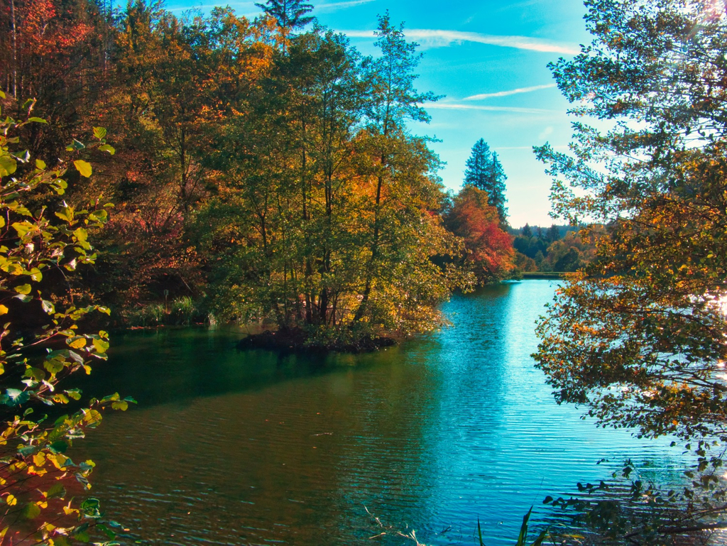 Heidenrod Land erleben: Natur, Abenteuer und der Wildnisspaß 2026 1 Der Wispersee in Heidenrod
